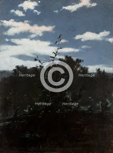 Landscape with a Brushwood Fence, c1880. Creator: Witold Pruszkowski.