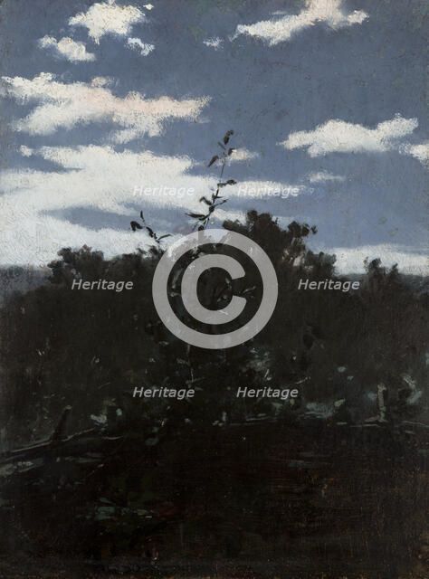 Landscape with a Brushwood Fence, c1880. Creator: Witold Pruszkowski.