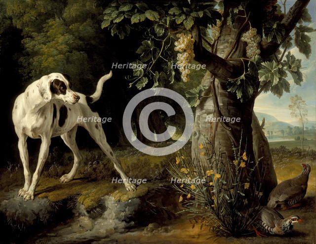 Landscape with a Dog and Partridges, 1719. Artist: Desportes, Alexandre François (1661-1743)
