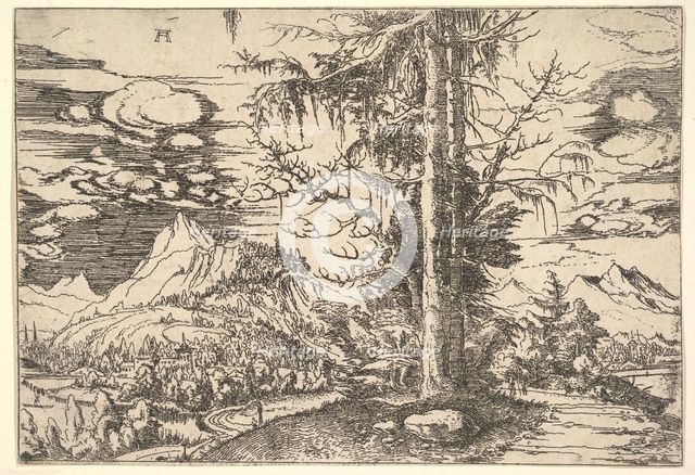Landscape with a Double Spruce, ca. 1521-22. Creator: Albrecht Altdorfer.