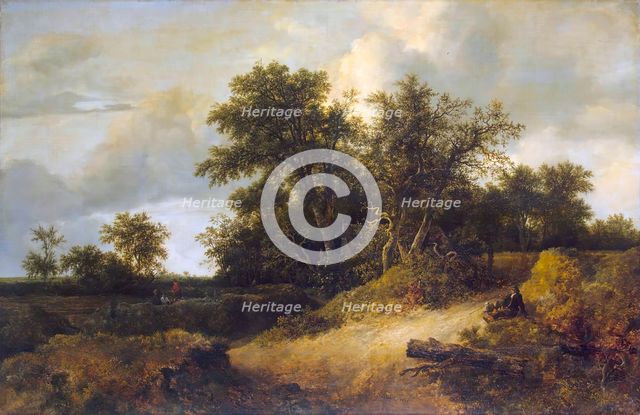 Landscape with a House in the Grove, 1646. Creator: Jacob van Ruisdael.