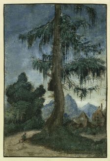 Landscape with a spruce, ca 1522. Creator: Altdorfer, Albrecht (c. 1480-1538)
