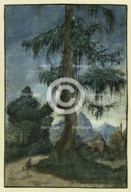 Landscape with a spruce, ca 1522. Creator: Altdorfer, Albrecht (c. 1480-1538).
