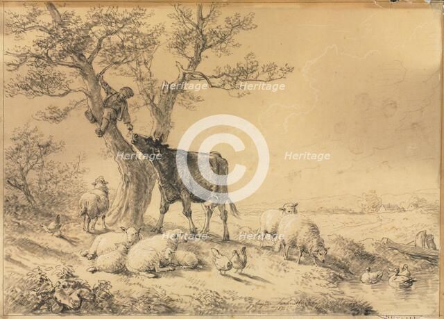 Landscape with Animals and Boy in Tree, 1866. Creator: Eugène Joseph Verboeckhoven (Belgian, 1798-1881).