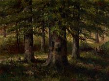 Landscape with Beech Trees, date unknown, c1900-1940. Creator: Edward Sitzman