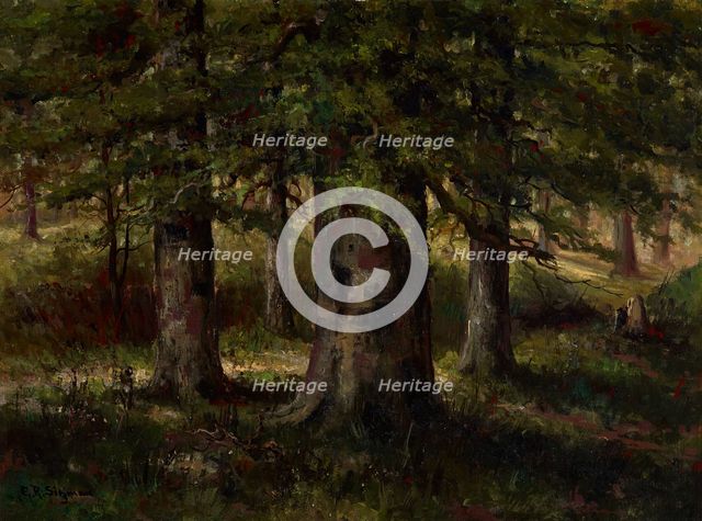 Landscape with Beech Trees, date unknown, c1900-1940. Creator: Edward Sitzman.