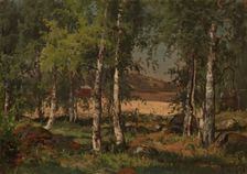 Landscape with Birch Grove and Rye Field, 1876. Creator: Hjalmar Munsterhjelm