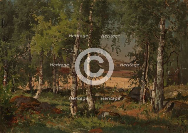 Landscape with Birch Grove and Rye Field, 1876. Creator: Hjalmar Munsterhjelm.