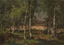 Landscape with Birch Grove and Rye Field, 1876. Creator: Hjalmar Munsterhjelm