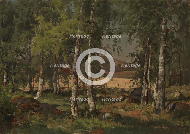 Landscape with Birch Grove and Rye Field, 1876. Creator: Hjalmar Munsterhjelm.