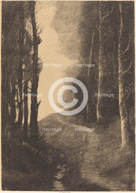 Landscape with Birch Trees (Le paysage aux bouleaux). Creator: Alphonse Legros.