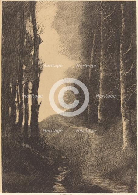 Landscape with Birch Trees (Le paysage aux bouleaux). Creator: Alphonse Legros.