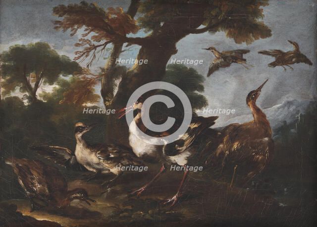 Landscape with Birds, 1665-1730. Creator: Angelo Maria Crivelli.