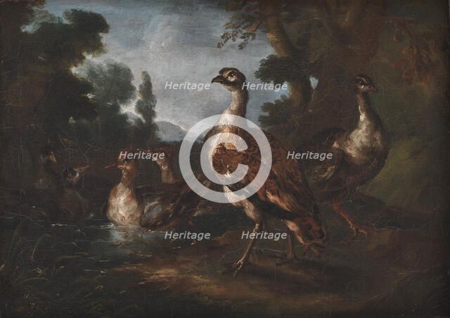 Landscape with Birds, 1665-1730. Creator: Angelo Maria Crivelli.