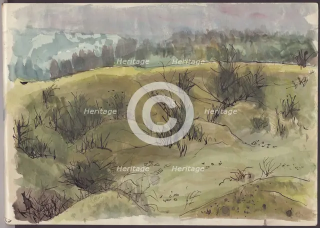 Landscape with bushes, Italy, c1950. Creator: Shirley Markham.