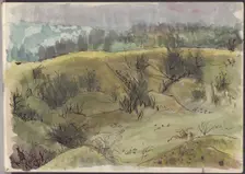 Landscape with bushes, Italy, c1950. Creator: Shirley Markham