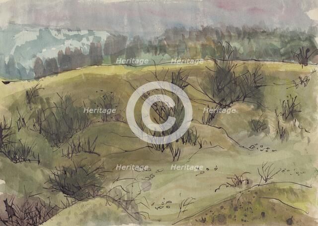 Landscape with bushes, Italy, c1950. Creator: Shirley Markham.