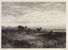 Landscape with Deer, c. 1840. Creator: Karl Bodmer (Swiss, 1809-1893)