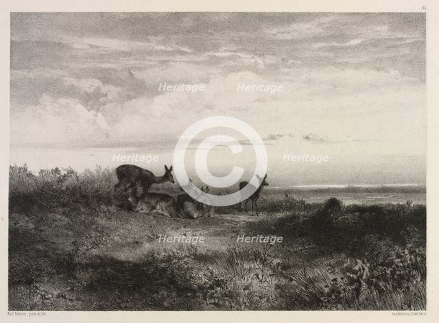 Landscape with Deer, c. 1840. Creator: Karl Bodmer (Swiss, 1809-1893).