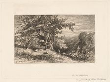 Landscape with Fallen Tree, 1875. Creator: Charles Volkmar