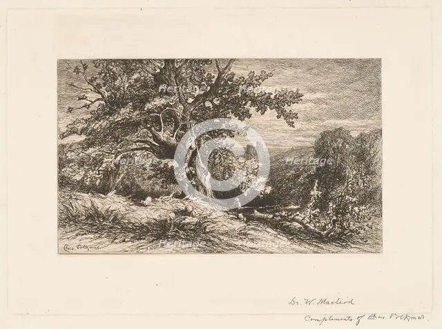 Landscape with Fallen Tree, 1875. Creator: Charles Volkmar.