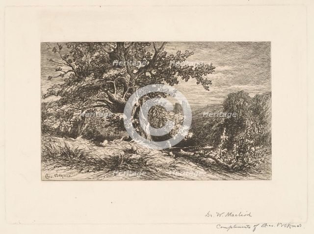 Landscape with Fallen Tree, 1875. Creator: Charles Volkmar.