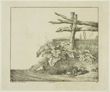 Landscape with Flora and Rustic Fence near Roadside, n.d. Creator: Lorenz Ekemann Alesson