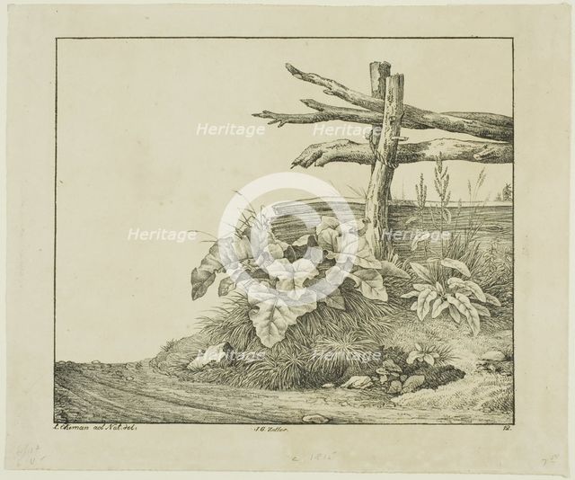 Landscape with Flora and Rustic Fence near Roadside, n.d. Creator: Lorenz Ekemann Alesson.