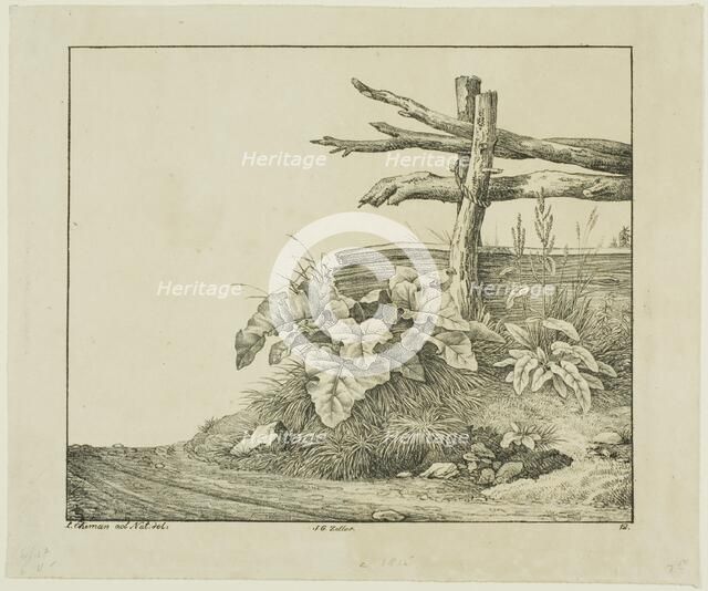 Landscape with Flora and Rustic Fence near Roadside, n.d. Creator: Lorenz Ekemann Alesson.