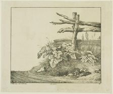 Landscape with Flora and Rustic Fence near Roadside, n.d. Creator: Lorenz Ekemann Alesson