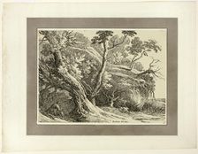 Landscape with Large Trees, from the first issue of Specimens of Polyautography, 1802. Creator: Richard Cooper