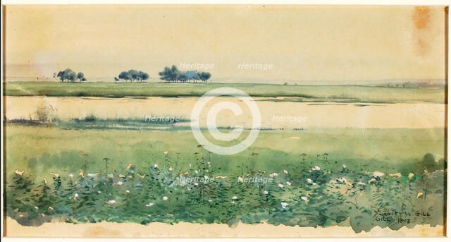 (Landscape with Marshes), 1898. Creator: De Lancey Gill.