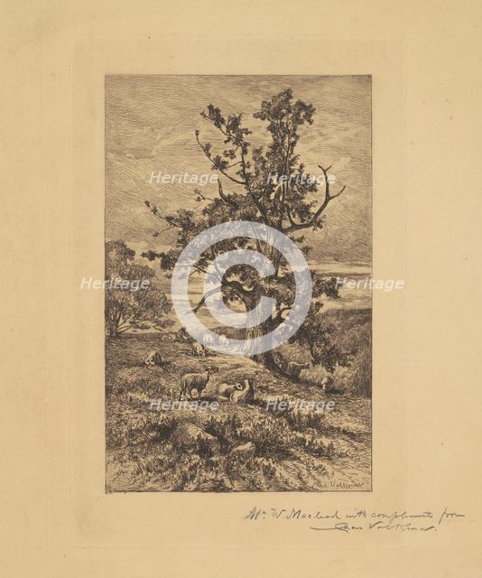 Landscape with Sheep, c. 1876. Creator: Charles Volkmar.