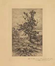 Landscape with Sheep, c. 1876. Creator: Charles Volkmar