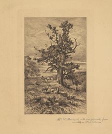 Landscape with Sheep, c. 1876. Creator: Charles Volkmar