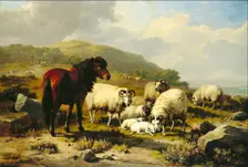 Landscape with Sheep, c1820-1880. Creator: Eugène Verboeckhoven