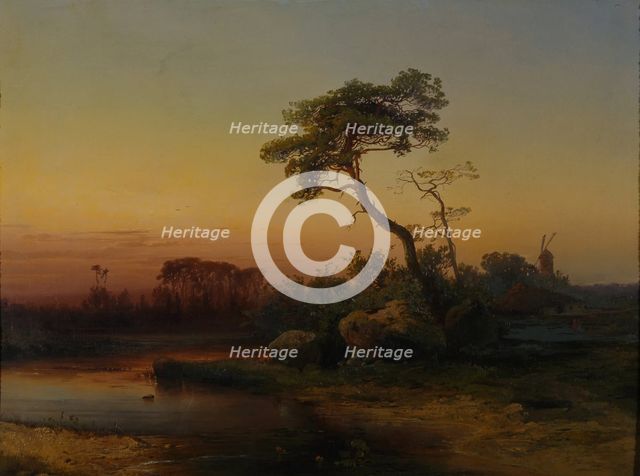 Landscape with Pine tree.