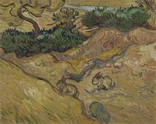 Landscape with Rabbits , 1889. Creator: Gogh, Vincent, van (1853-1890)