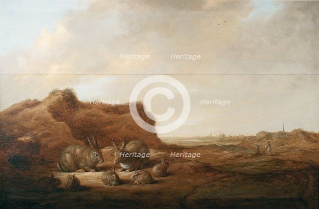 Landscape with rabbits.