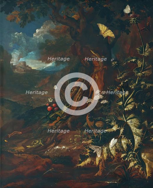 Landscape with reptiles and insects (I), c1730/1740. Creator: Johann Adalbert Angermayer.