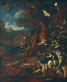 Landscape with reptiles and insects (I), c1730/1740. Creator: Johann Adalbert Angermayer