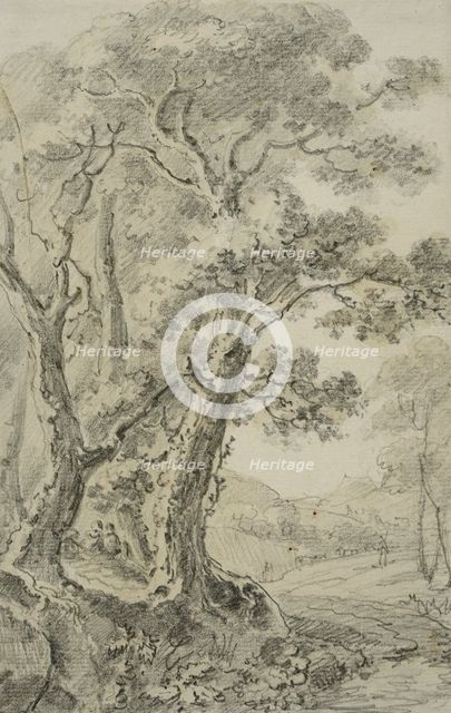Landscape with tall trees in the foreground, unknown date. Creator: Anon.