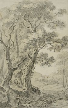 Landscape with tall trees in the foreground, unknown date. Creator: Anon
