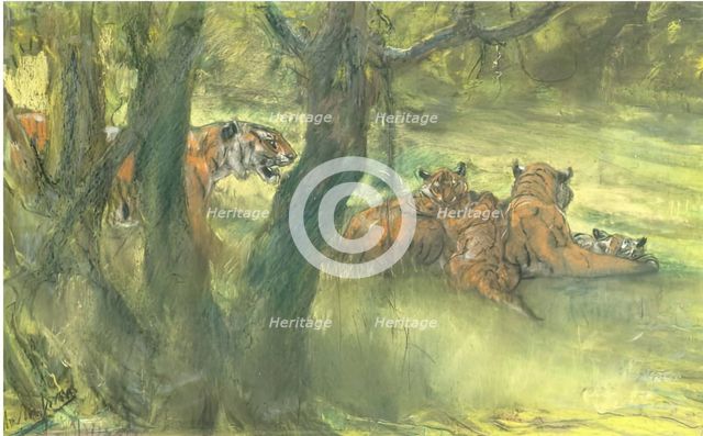 Landscape with Tiger and Cubs, 1900-1910. Creator: John MacAllan Swan.