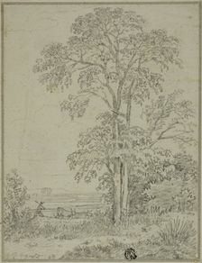 Landscape with Tree, Man, and Cows, August 7, 1765. Creator: George Howland Beaumont