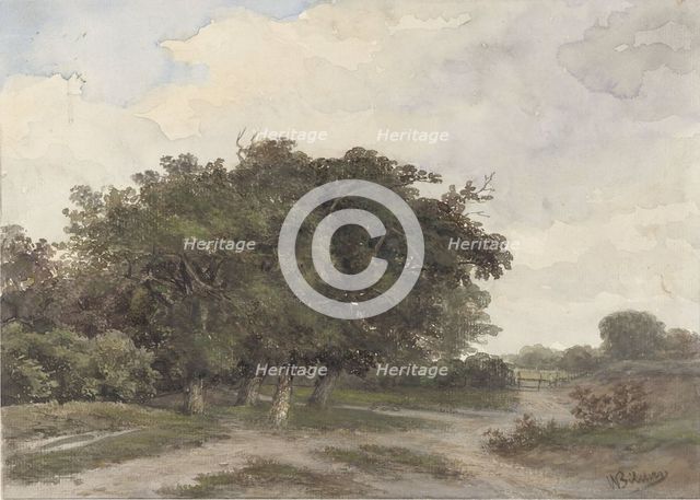 Landscape with trees, 1841-1890. Creator: Johannes Warnardus Bilders.