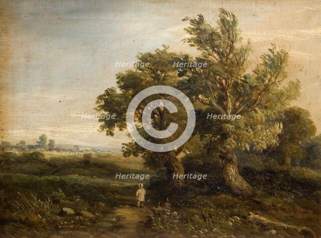 Landscape With Trees, 1863. Creator: Samuel Restell Lines.