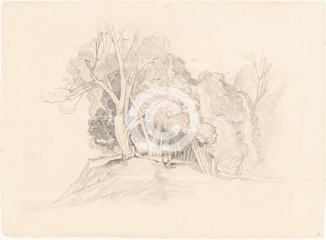 Landscape with Trees. Creator: Unknown.