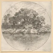 Landscape with Trees by the Water.n.d. Creator: Goffredo Wals