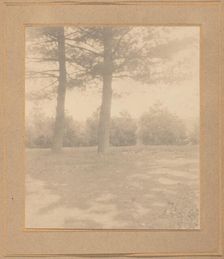 Landscape with trees, c. 1900. Creator: Joseph Turner Keiley